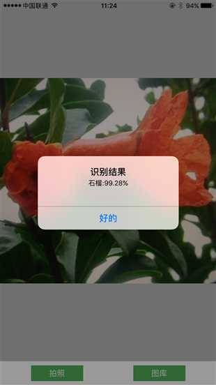基于图片识别服务的IOS图片识别程序