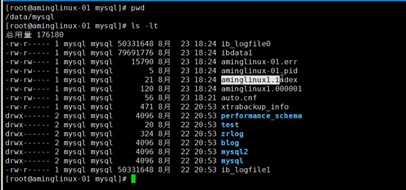 8.31 MySQL主从配置、准备工作、配置主、配置从、测试主从同步