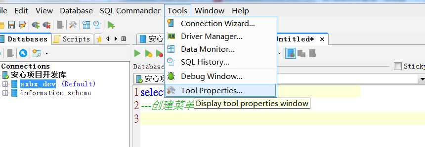 dbvisualizer free 9.5.6中文乱码