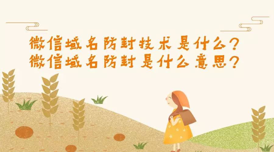 微信域名防封技术是什么?微信域名防封是什么意思?
