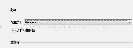 asp.net网站部署在云服务器windows server 2008上