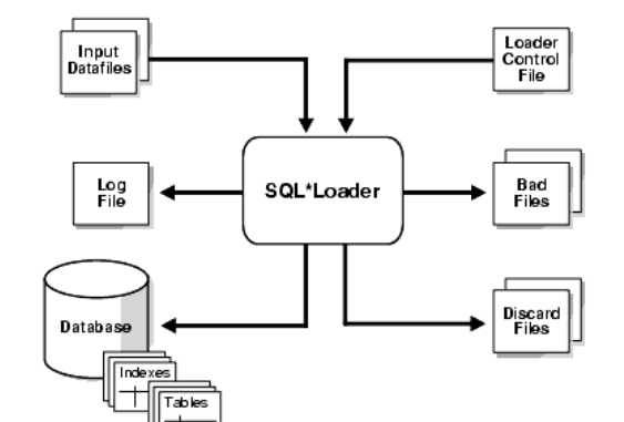 Oracle sqlloader