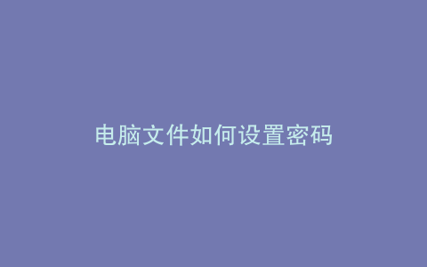 电脑文件如何设置密码