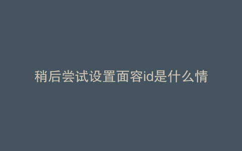 稍后尝试设置面容id是什么情况苹果