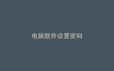 电脑软件设置密码