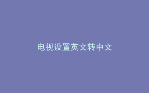 电视设置英文转中文