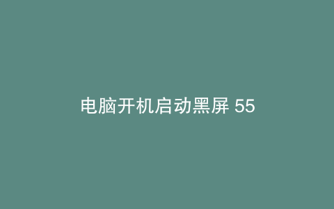 电脑开机启动黑屏 55