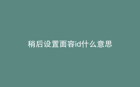 稍后设置面容id什么意思