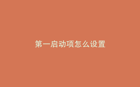 第一启动项怎么设置