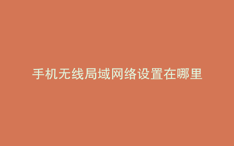 手机无线局域网络设置在哪里
