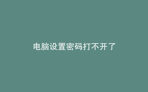 电脑设置密码打不开了