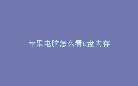 苹果电脑怎么看u盘内存