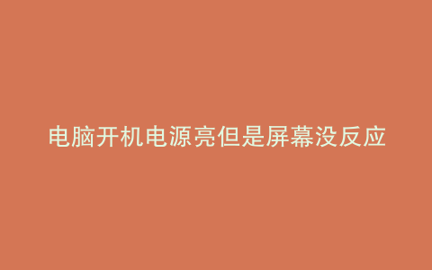 电脑开机电源亮但是屏幕没反应