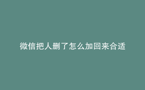 微信把人删了怎么加回来合适