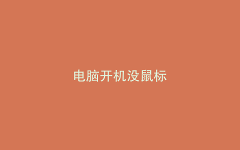 电脑开机没鼠标