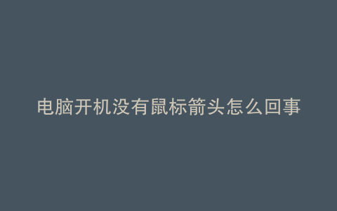 电脑开机没有鼠标箭头怎么回事