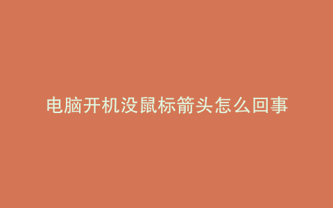电脑开机没鼠标箭头怎么回事
