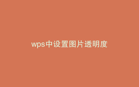 wps中设置图片透明度