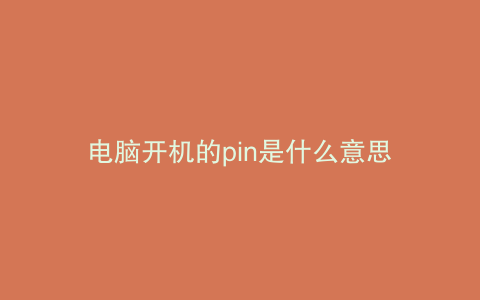 电脑开机的pin是什么意思