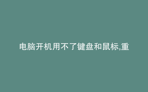 电脑开机用不了键盘和鼠标,重启一下就好了