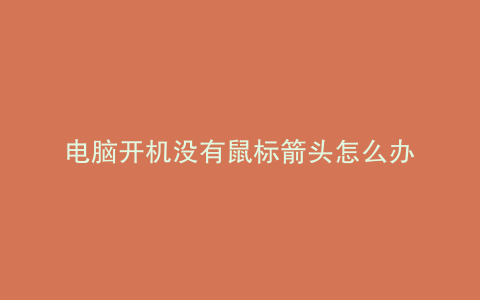 电脑开机没有鼠标箭头怎么办