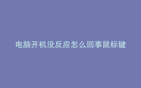 电脑开机没反应怎么回事鼠标键盘灯不亮