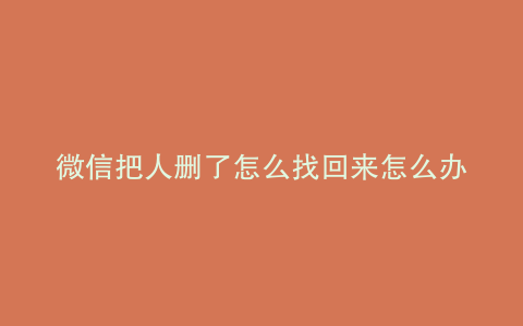 微信把人删了怎么找回来怎么办