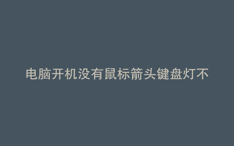 电脑开机没有鼠标箭头键盘灯不亮怎么办