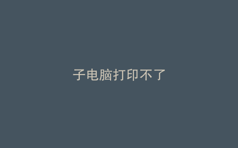 子电脑打印不了