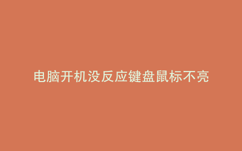电脑开机没反应键盘鼠标不亮