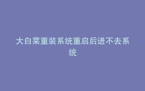 大白菜重装系统重启后进不去系统