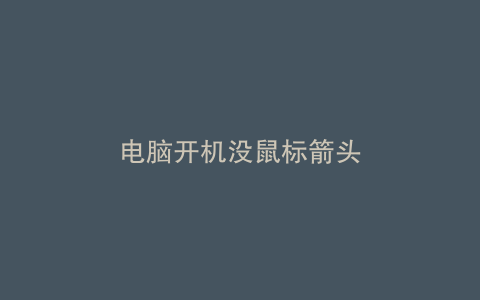 电脑开机没鼠标箭头