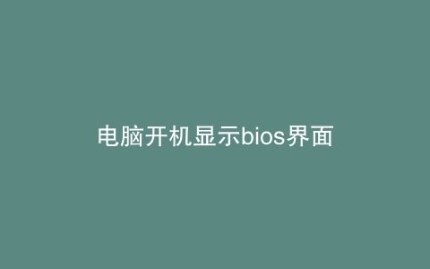 电脑开机显示bios界面