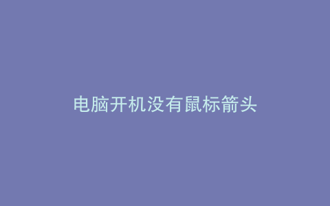 电脑开机没有鼠标箭头