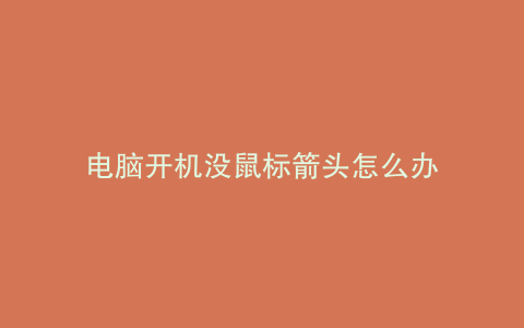 电脑开机没鼠标箭头怎么办