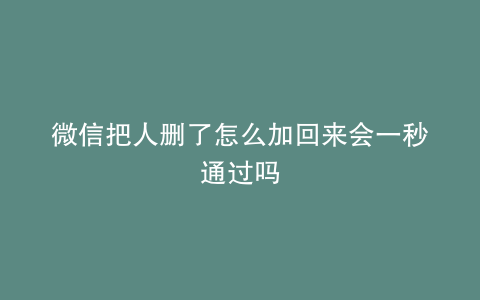 微信把人删了怎么加回来会一秒通过吗