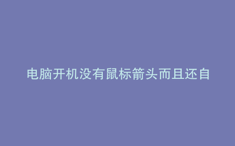 电脑开机没有鼠标箭头而且还自动关机