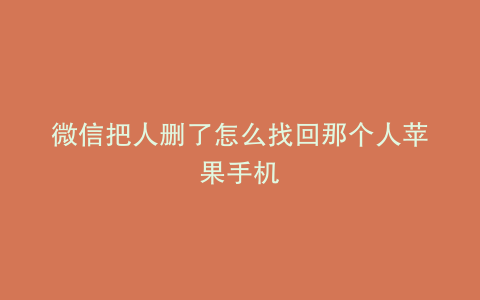 微信把人删了怎么找回那个人苹果手机