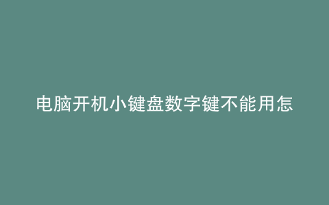 电脑开机小键盘数字键不能用怎么办