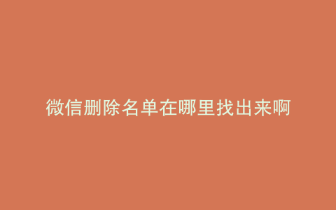 微信删除名单在哪里找出来啊