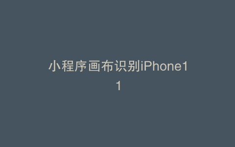 小程序画布识别iPhone11