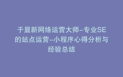 于显新网络运营大师-专业SE的站点运营-小程序心得分析与经验总结