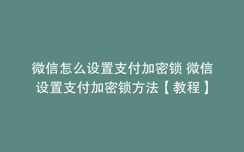 微信怎么设置支付加密锁 微信设置支付加密锁方法【教程】