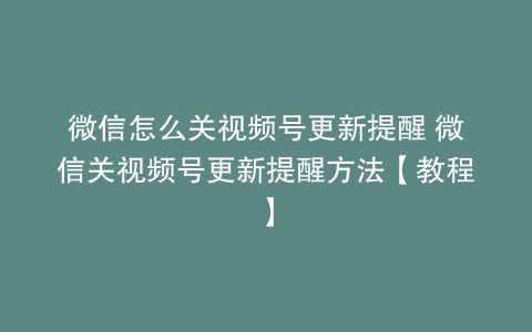 微信怎么关视频号更新提醒 微信关视频号更新提醒方法【教程】