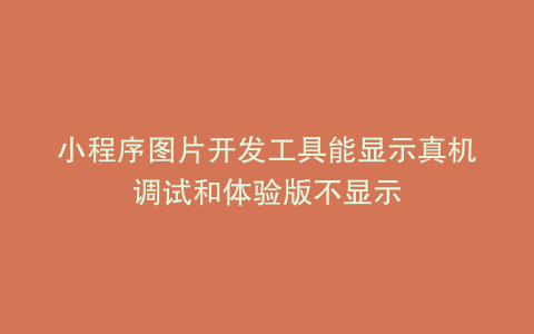 小程序图片开发工具能显示真机调试和体验版不显示