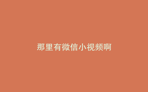 那里有微信小视频啊