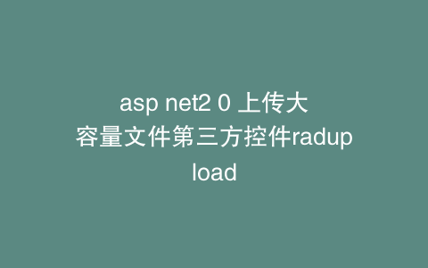 asp net2 0 上传大容量文件第三方控件radupload
