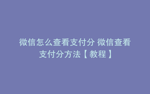 微信怎么查看支付分 微信查看支付分方法【教程】