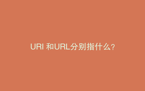 URI 和URL分别指什么？