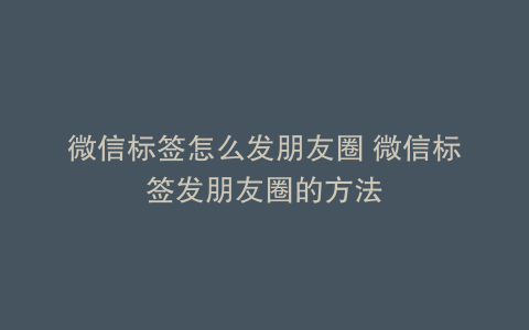 微信标签怎么发朋友圈 微信标签发朋友圈的方法